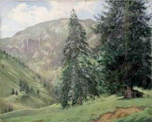 Karkonosze by Julius Widnmann