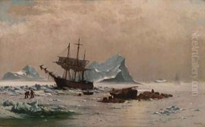 Among the Ice Floes