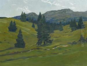 Field With View Of Piz Scalottas by Hans Beat Wieland