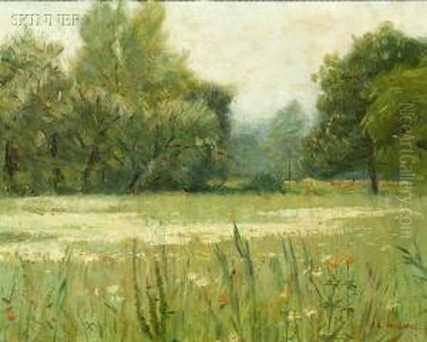 Spring Meadow - view 1