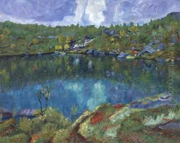 Fjeldtjern - view 1