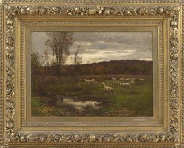 Autumnal Landscape With Sheep At Dusk - view 1