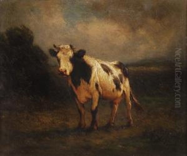 Holstein Cow - view 1