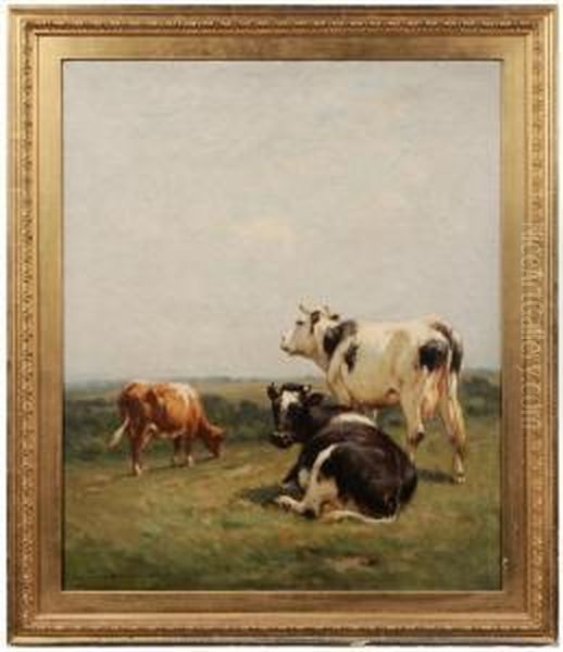"holsteins, June Morning" - view 1
