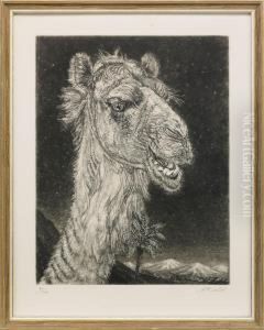 Arabian Camel by Eduard Wiiralt