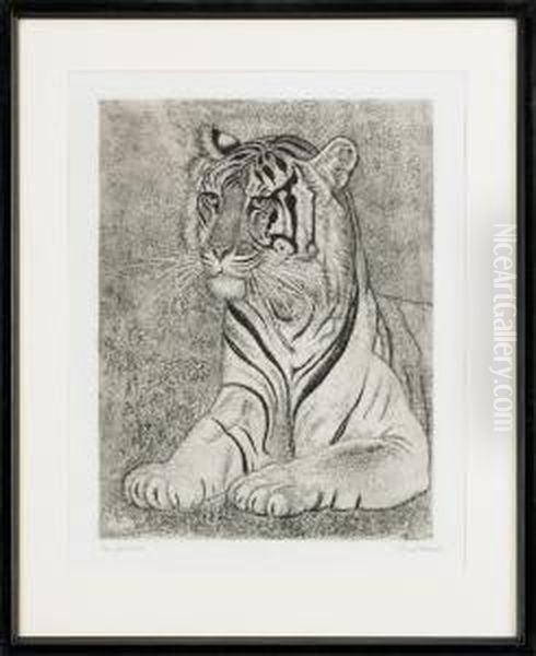 Tigre - view 1