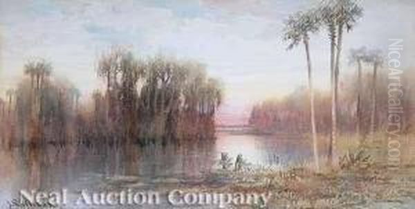Palm Treesin The Florida Swamp - view 1