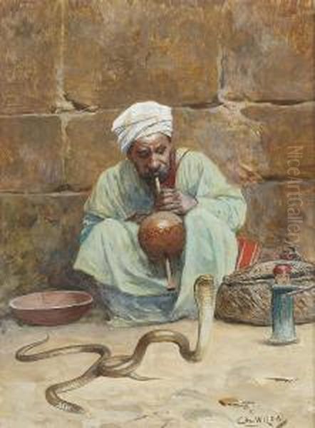 The Snake Charmer - view 1