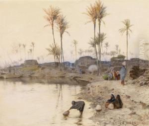 The Oasis