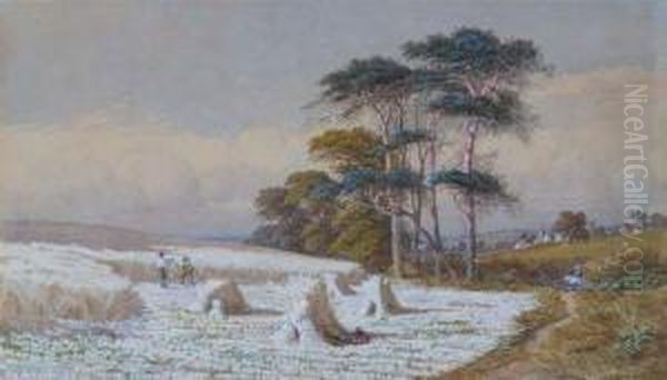 Harvesting And Hay Making - view 1