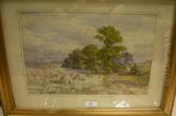 Corn Stooks - view 1
