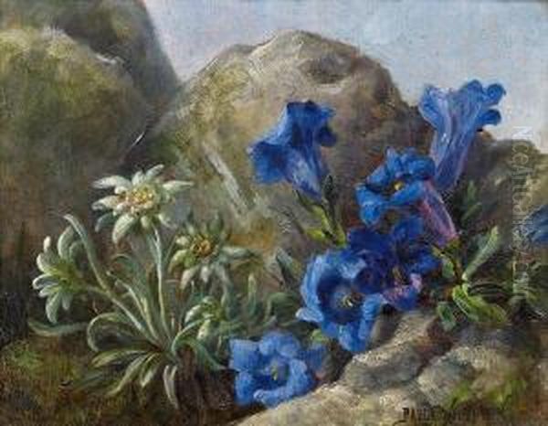 Edelweiss Und Enzian - view 1