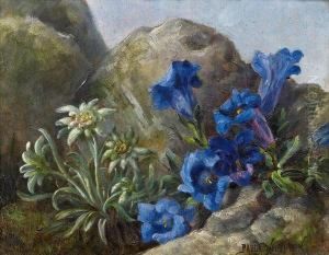 Edelweiss Und Enzian by Paula Wildhack