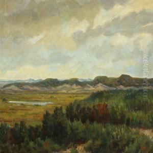 Landscape From Skagen With View Over Dunes