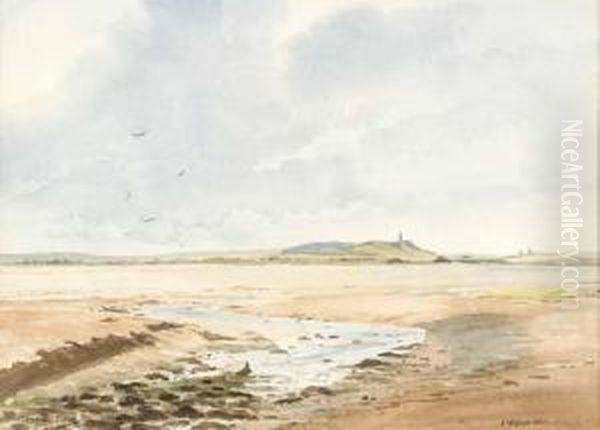 Scrabo Across Strangford Lough - view 1