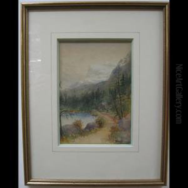 Vista Pathway - view 1
