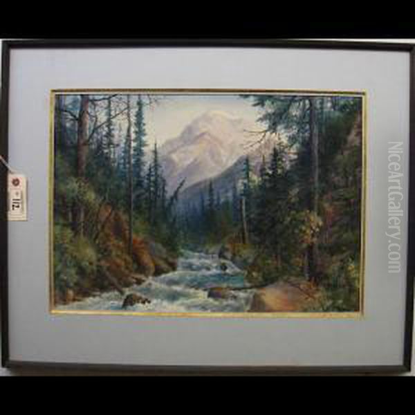 Rapid Waters - Rockies - view 1