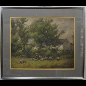Sheep At Rest by W.H. Wilkinson