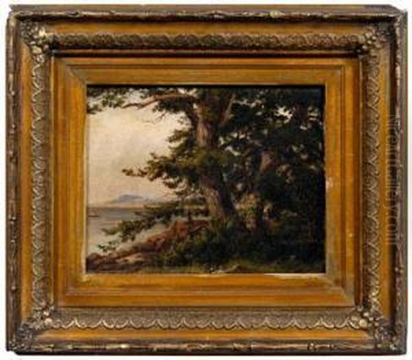 Lakeside Landscape With Distant Mountains - view 1