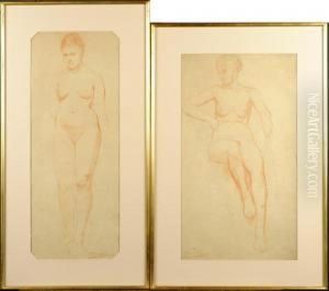 Nu Feminin by Ferdinand Willaert