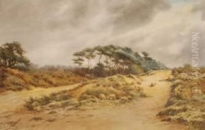 Sheep On Chorleycommon by Norris Fowler Willatt