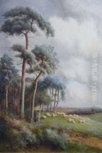 A Surrey Common - Shepherd &amp; Sheep