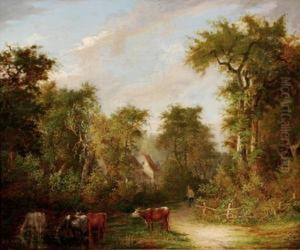 Barrell Willcockcattle In A Woodland Landscape - view 1