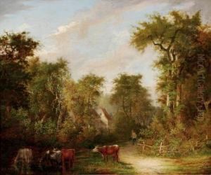 Barrell Willcockcattle In A Woodland Landscape
