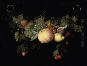 A Swag Of Lemons, Plums, Cherries, Redcurrants, A Fig, An Orange, And Other Fruit, With A Butterfly by Petrus Willebeeck