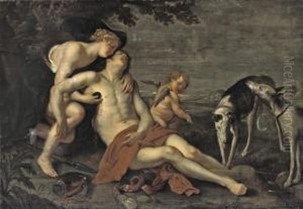 Venus Mourning The Death Of Adonis - view 1