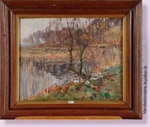 Canards Au Bord De L'etang by Jozef Willems