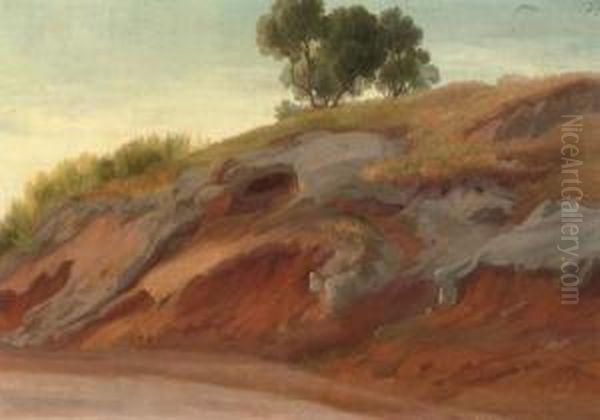 A Dusty Road In Summer - view 1