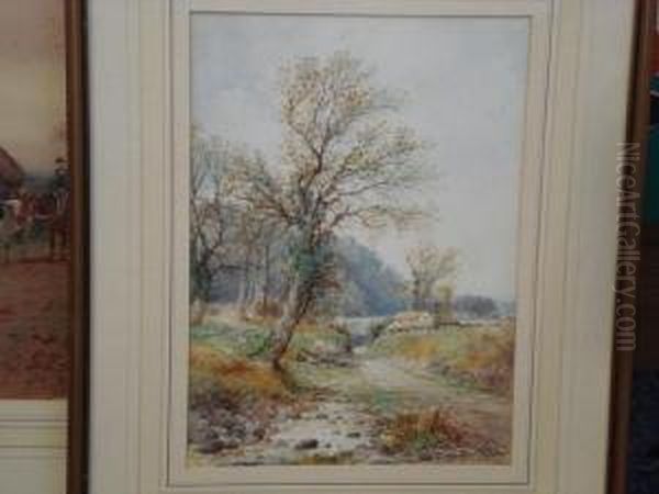 Cottage In A Country Lane - view 1