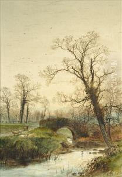 Autumn - view 1
