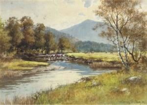 Cattle Watering By The River Conway, North Wales