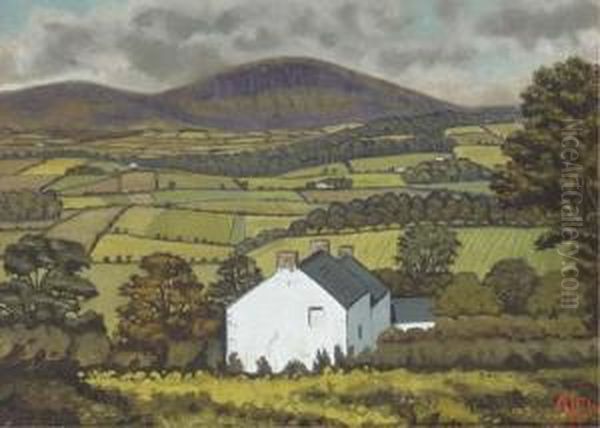Near Kilwater, Co. Antrim - view 1