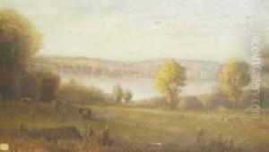 American, - Cattle Grazing Beforelake Cazenovia