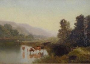 Cattle In A Stream Cattle In A Stream