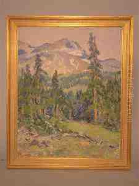 Mountain View With Pine Trees - view 1