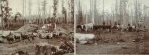 Timber Workers by Thomas R.G. Williams