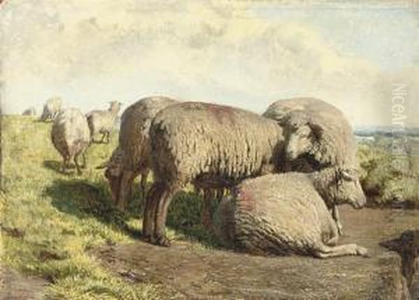Sheep Grazing In A Landscape - view 1
