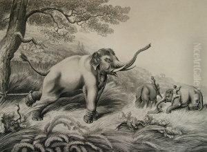 Decoy Elephants Leaving Themale Fastened To A Tree by Samuel Howitt And Captain Thomas Williamson