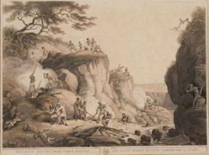 Smoking Wolves From Their Earths Par J. Hamble by Samuel Howitt And Captain Thomas Williamson