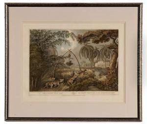 Oriental Field Sports by Samuel Howitt And Captain Thomas Williamson