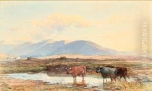 The Western Highlands Of Scotland by Henry Brittan Willis, R.W.S.