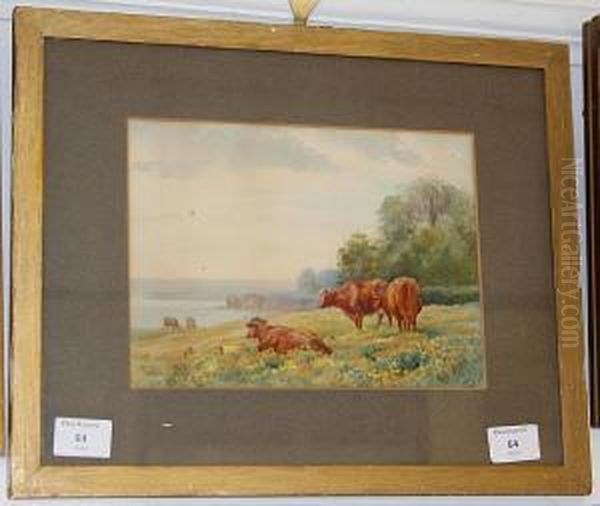 Cattle In A Cliff Top Meadow - view 1