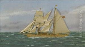 A Schooner In Open Seas by Thomas Willis