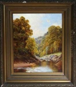 The Sneap, River Derwent The Sneap, River Derwent