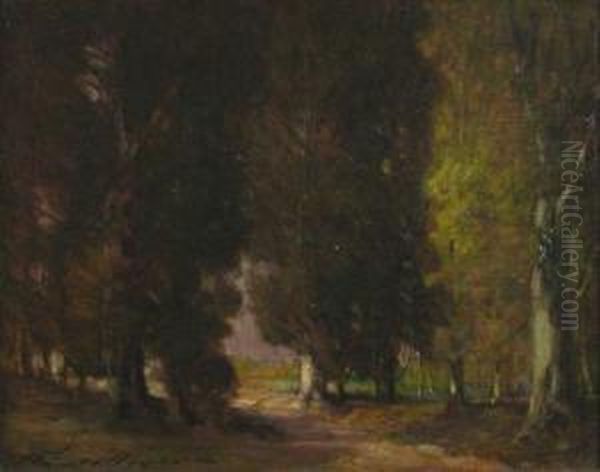 Edge Of The Woods - view 1