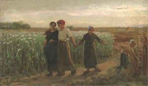 Dans les oeillettes, le soir